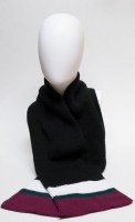 arizona scarf